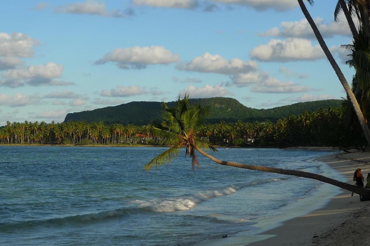 Apart-Hotel Garden Villa Las Galeras Exterior foto