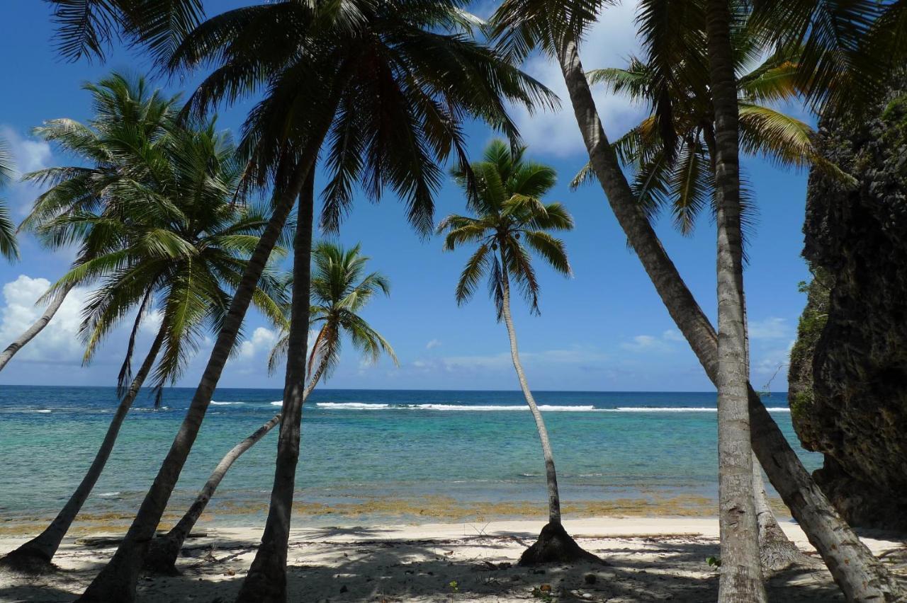 Apart-Hotel Garden Villa Las Galeras Exterior foto